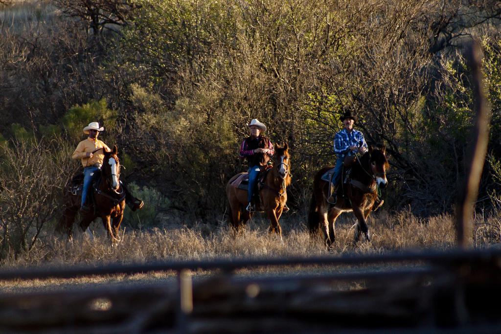 Отель Rancho De La Osa Guest Ranch Sasabe Экстерьер фото