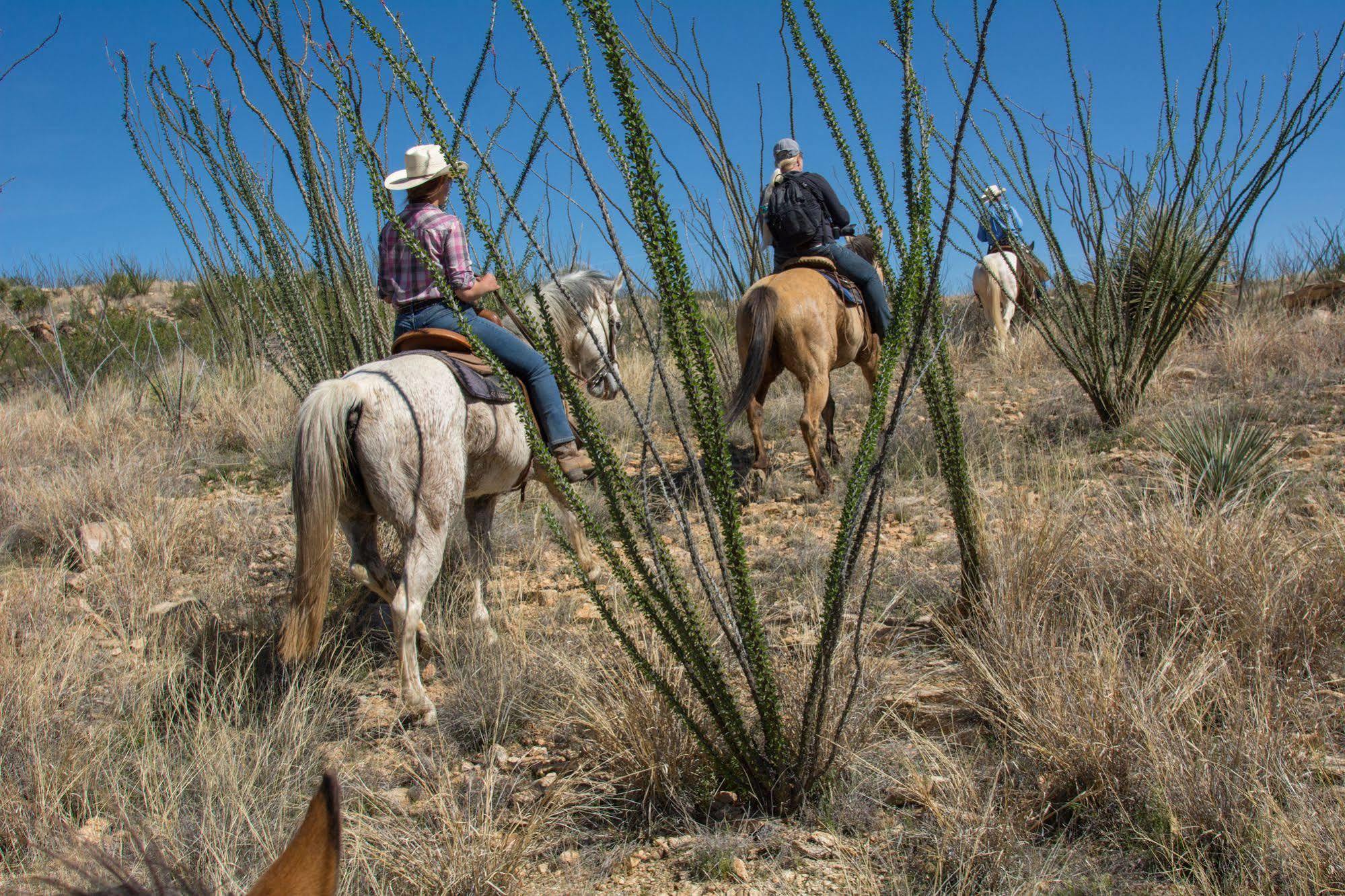 Отель Rancho De La Osa Guest Ranch Sasabe Экстерьер фото